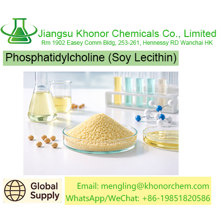 Phosphatidylcholine (Soy Lecithin) for Pharmaceutical & Injectable Applications – PC70 / PC80 / PC90