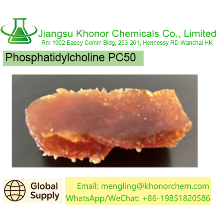 Phosphatidylcholine PC50 | High-Quality Soy Phospholipid | Free COA, TDS & MSDS Download