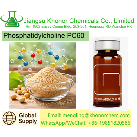 Phosphatidylcholine PC60 | High Purity Lecithin | Free TDS COA MSDS Download