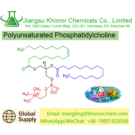Polyunsaturated Phosphatidylcholine (P-PC) | High Purity Phospholipid | Free TDS, COA & MSDS Download