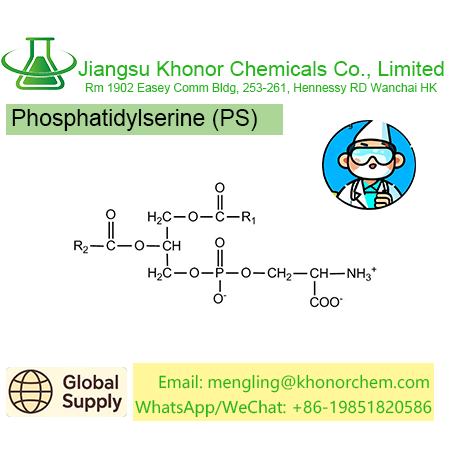 Phosphatidylserine (PS) | High Purity Phospholipid | MSDS, COA & TDS Download