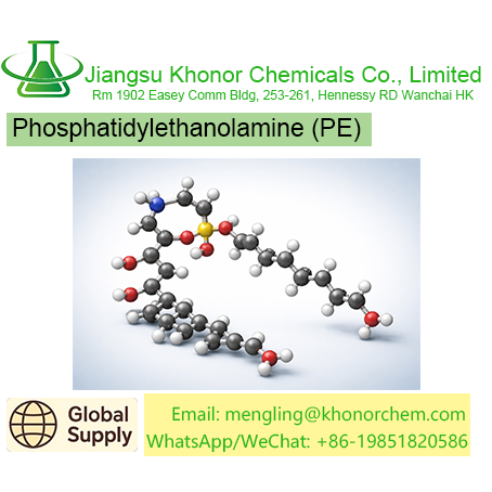 Phosphatidylethanolamine (PE) – High Purity Phospholipid | CAS, TDS & MSDS Download