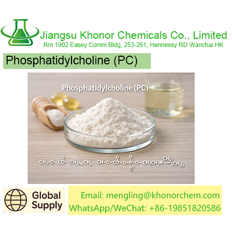 Phosphatidylcholine (PC) – Free COA, TDS & MSDS Download
