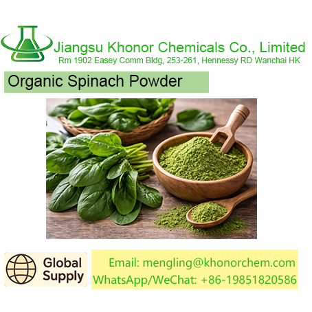 Organic Spinach Powder – High-Quality Spinach Powder | Free COA, TDS & MSDS Download