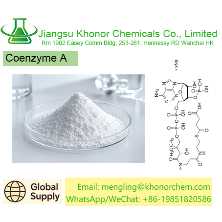 Coenzyme A | High Purity Nutraceutical Ingredient Supplier | Free COA TDS MSDS Download